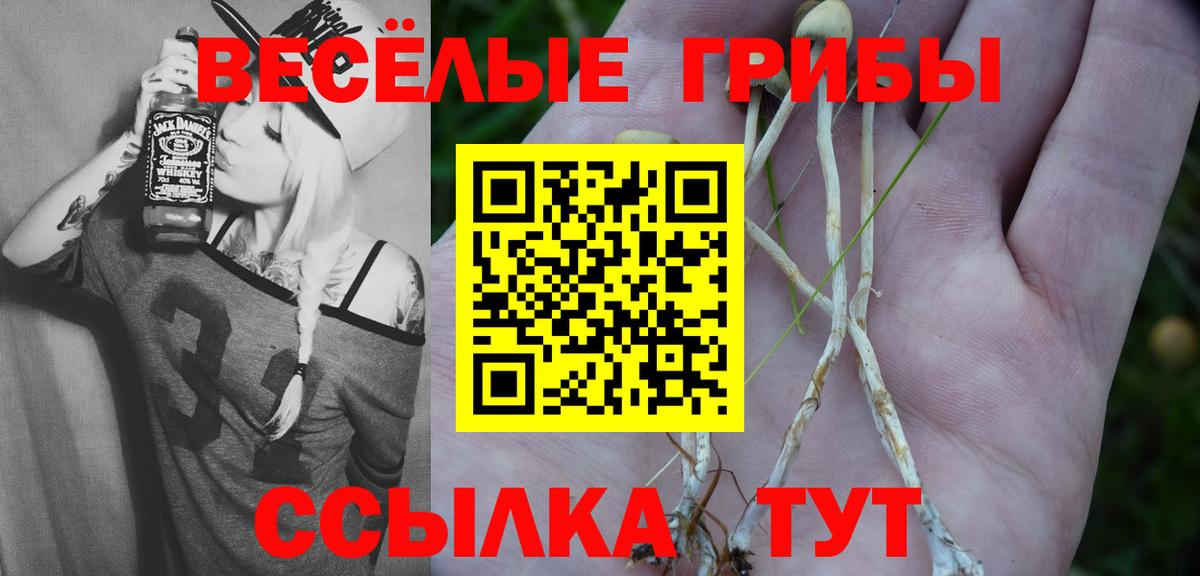 Галлюциногенные грибы мухоморы Бор