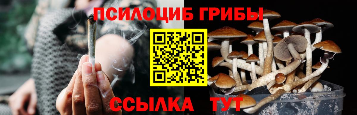 Галлюциногенные грибы Cubensis  Вход с VPN  Бор 
